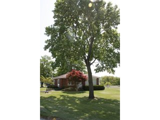 Property photo 36 - LAND AUCTION - 389.5+/- ACRES IN 11 TRACTS IN SULLIVAN COUNTY, INDIANA